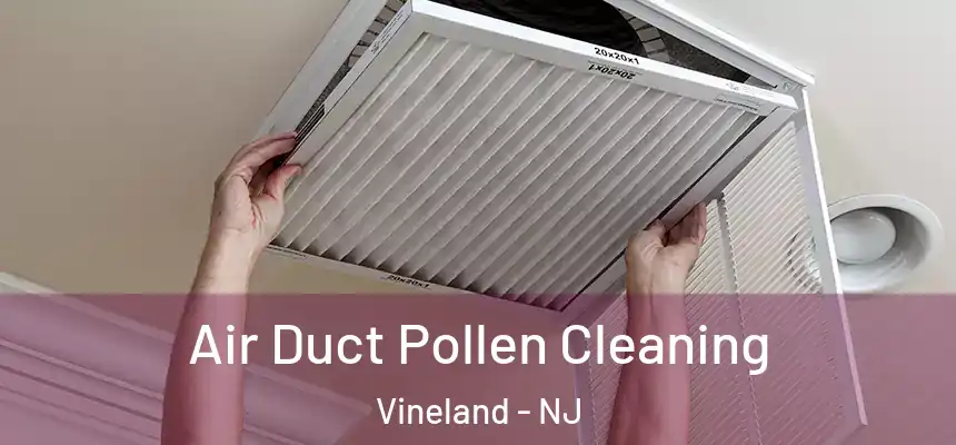  Air Duct Pollen Cleaning Vineland - NJ