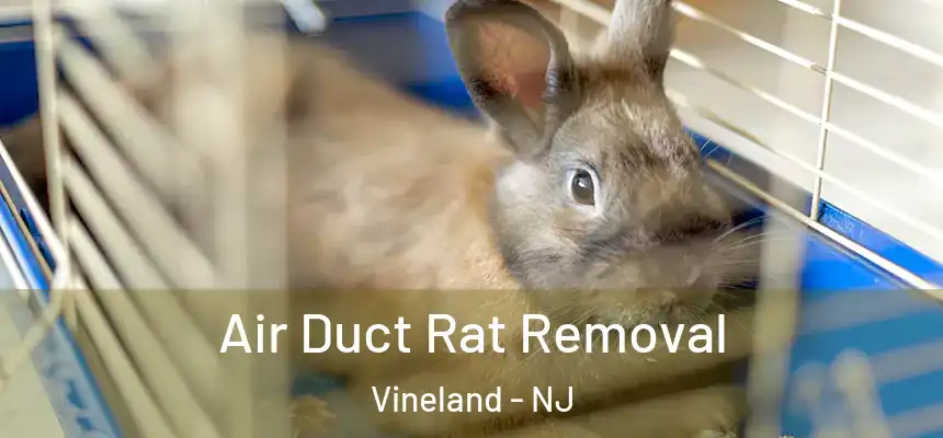  Air Duct Rat Removal Vineland - NJ