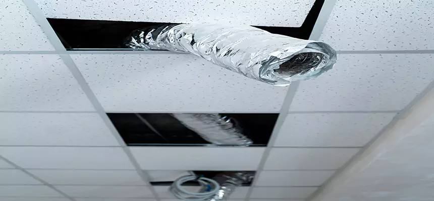 Our Air Duct Pet Hair Removal Services in Vineland, NJ