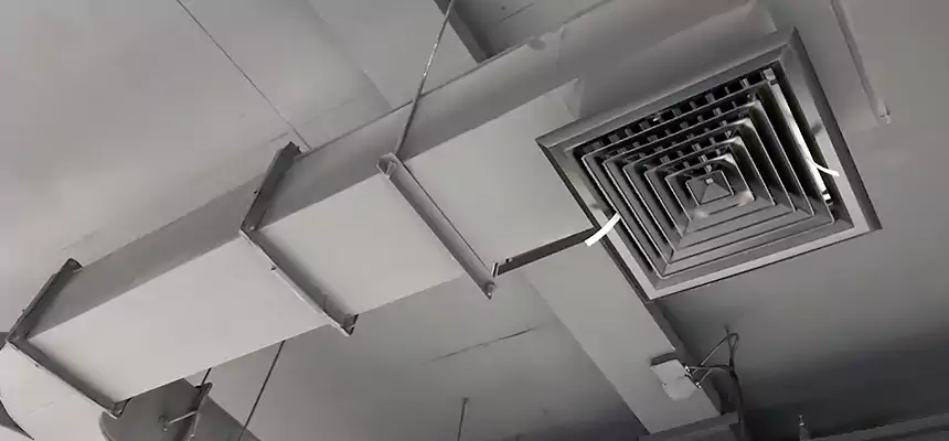 Restorative Allergy Relief Vent Cleaning – Coil, Blower & Housing Detail in Vineland