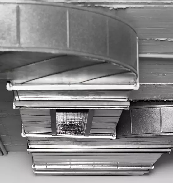 Professional Air Duct Pest Removal in Vineland, NJ