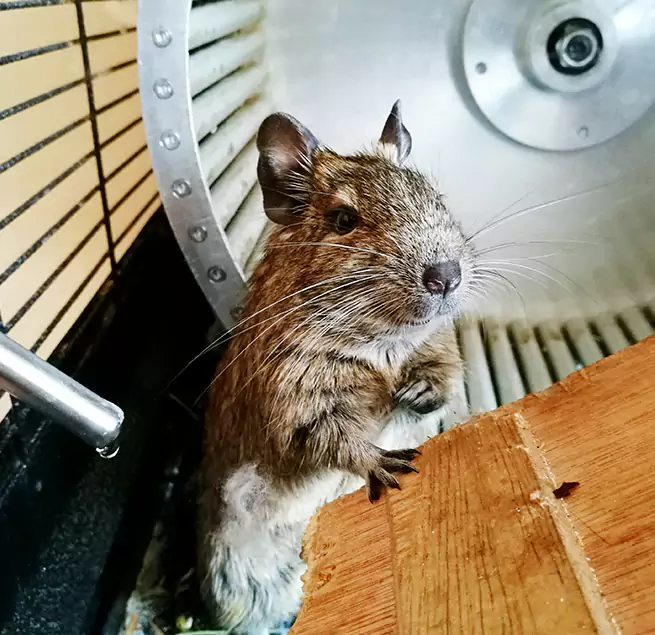 Why Homeowners & Businesses Trust Us Vineland, NJ