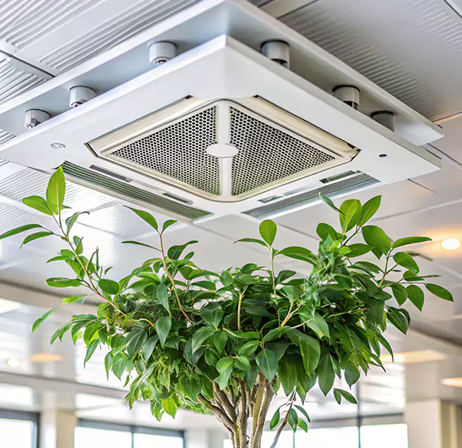 Why Homeowners & Businesses Trust Us in Vineland, NJ