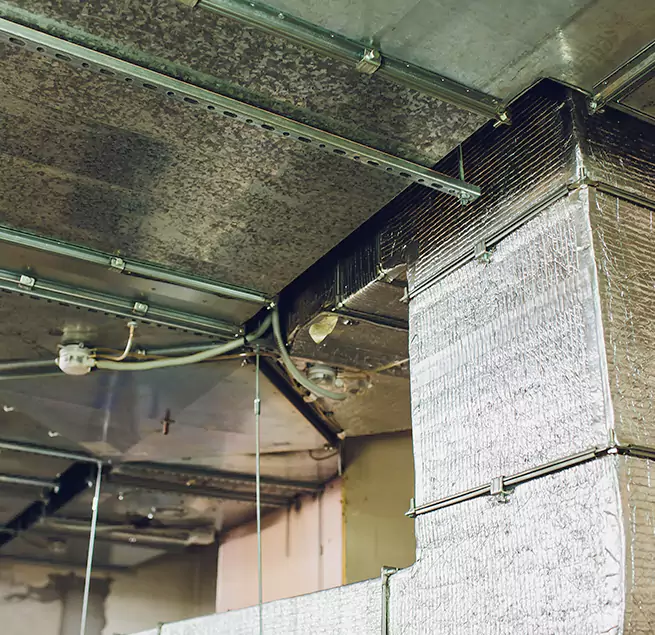 Why Homeowners & Businesses Trust Us in Vineland, NJ?